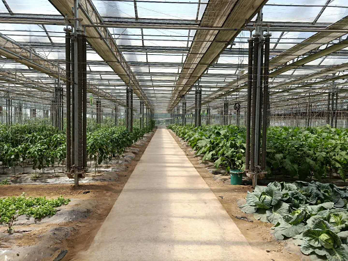 大棚溫室用翅片管散熱器